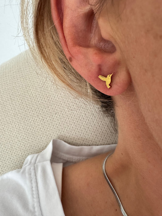 Boucles Colibri