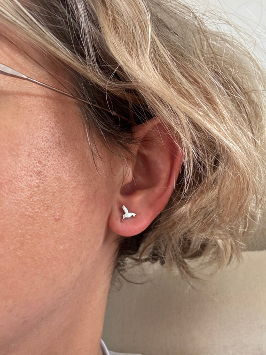 Boucles Colibri